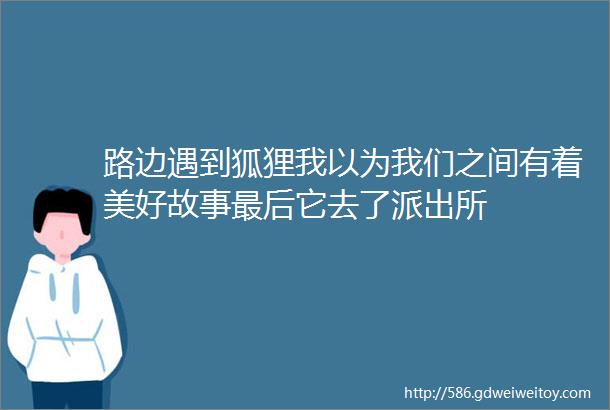 路边遇到狐狸我以为我们之间有着美好故事最后它去了派出所