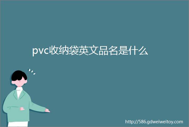 pvc收纳袋英文品名是什么